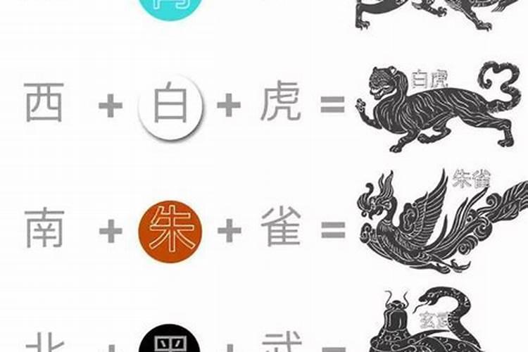 端午节的时候为什么要在门上插柳枝