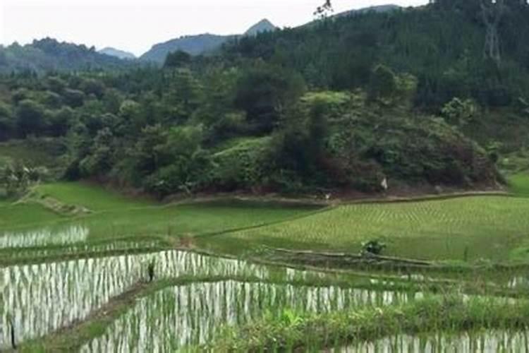 阳宅催桃花
