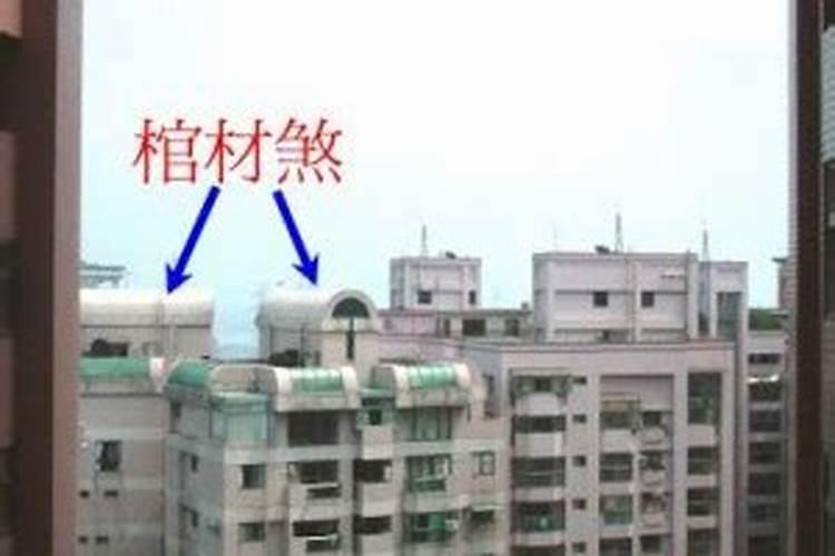 前不种蕉后不种竹是什么意思