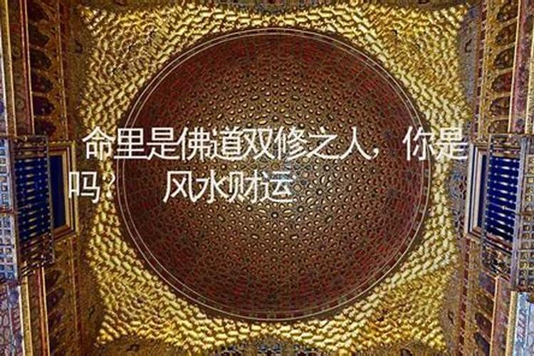 重庆龙居山陵园地址