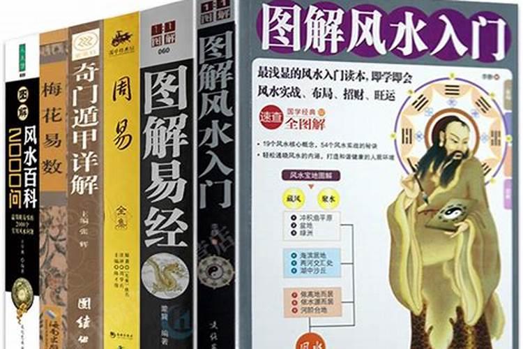 叶茂然人物经历
