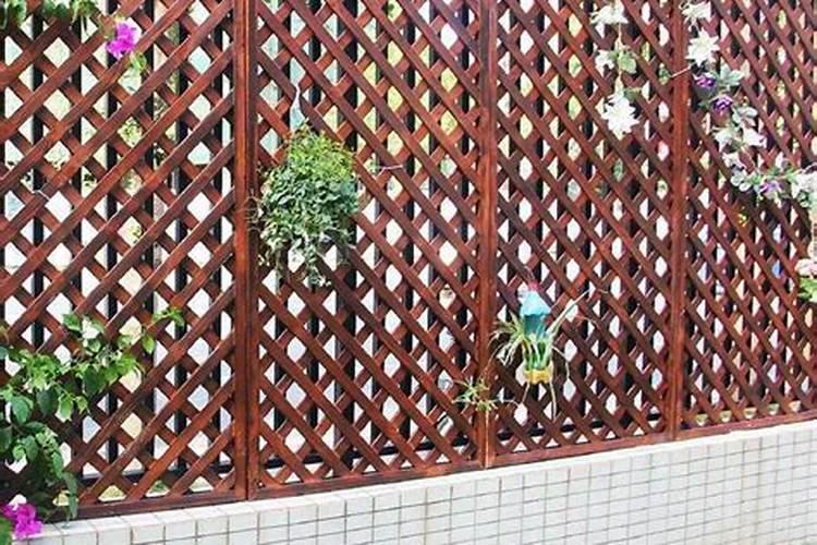 怎样学看风水从何入手