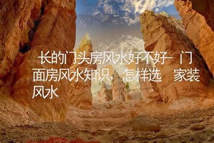 家里养什么花好 旺财 风水