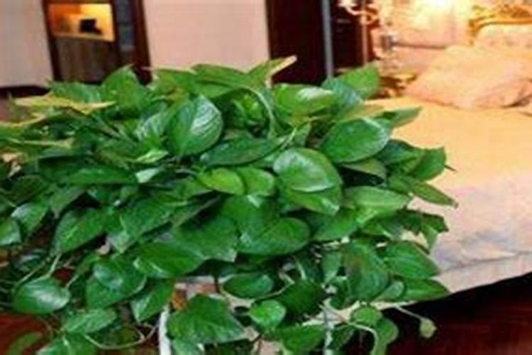 许灵耀:如何成为风水与姓名学专家的？