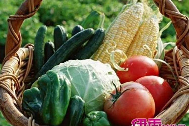 大棚种植什么最旺财运风水
