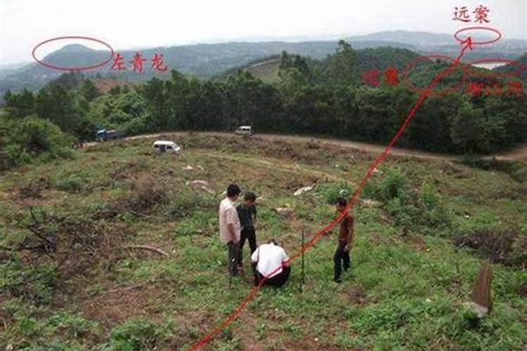 找个风水师看祖坟得多少钱？