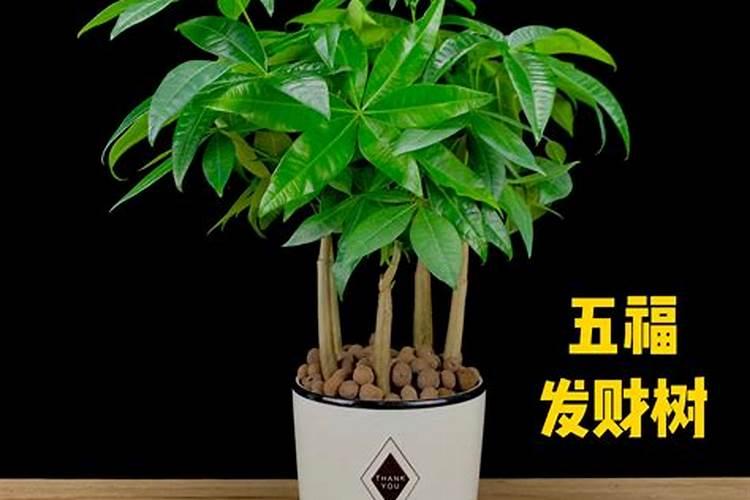 风水学基本知识
