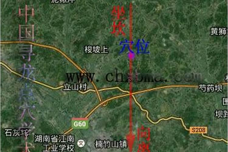 客厅正东边放什么最旺