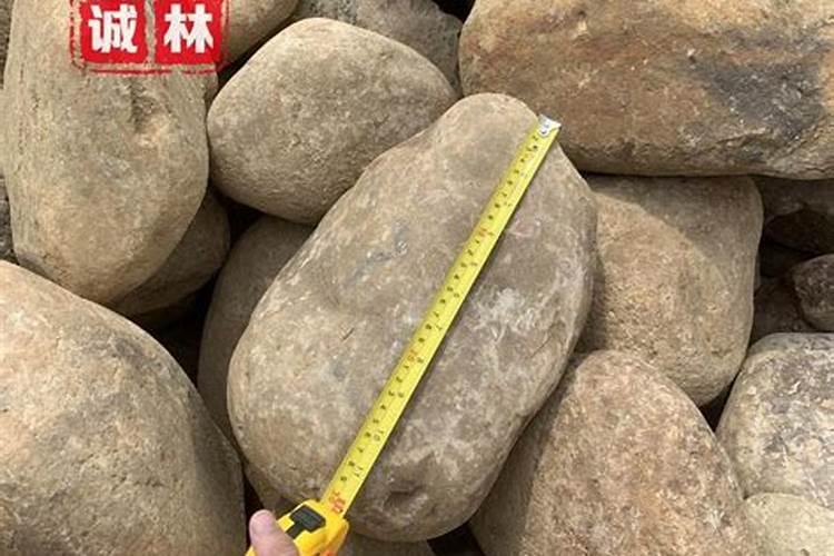客厅放鹅卵石好不好 客厅放鹅卵石好吗
