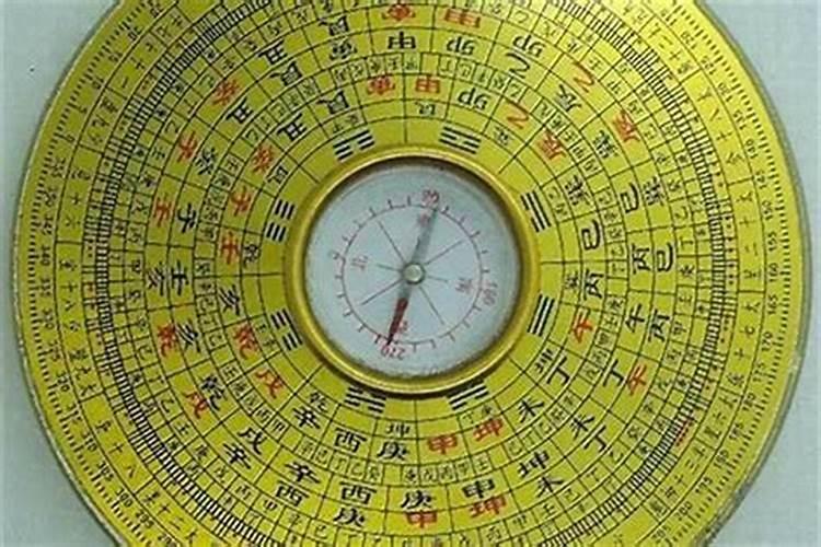 院子里种花种菜技巧 院子种菜种花设计效果图
