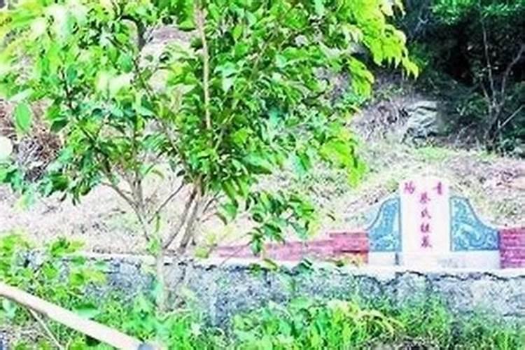 美容院检查妇科宫颈违法吗