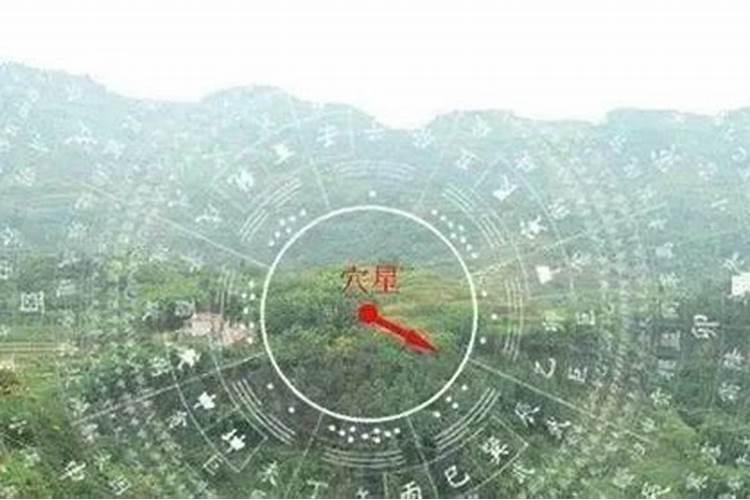 办公室养鱼有什么讲究
