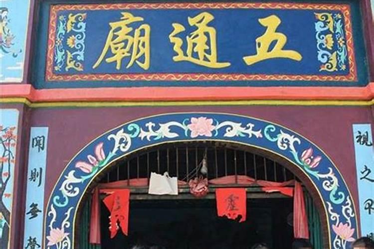 招财猫鱼是什么品种？是风水鱼吗？