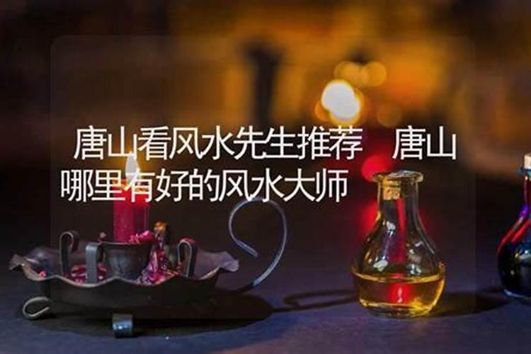 《风水大师杨救贫》txt全集下载