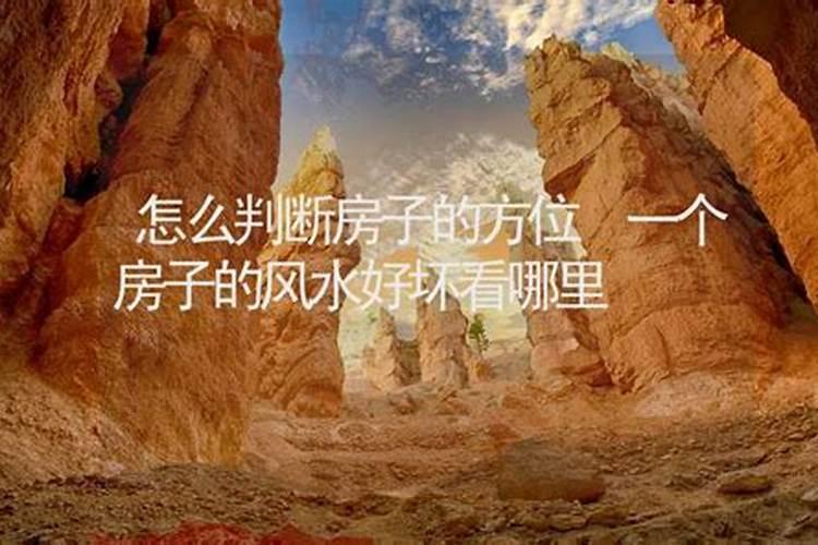 栽竹子有什么讲究