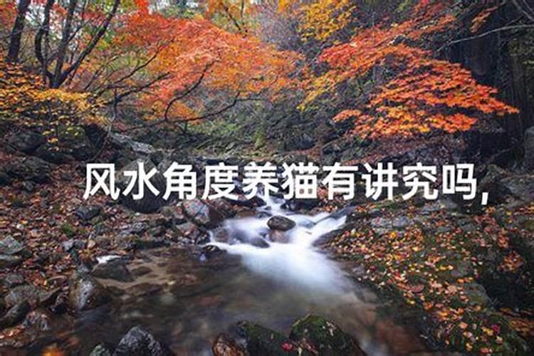 男人脸上长痣面相吉凶分析