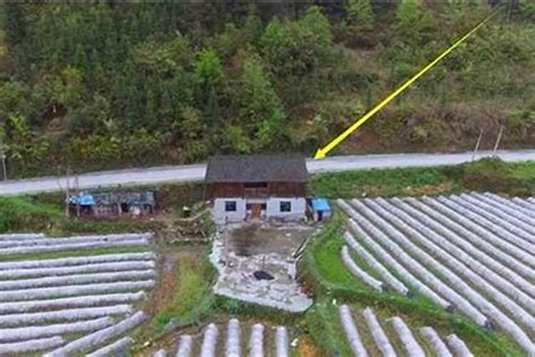房屋背面的风水解析