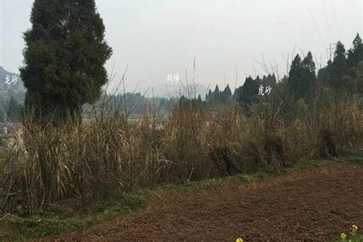 绵阳十大豪宅别墅