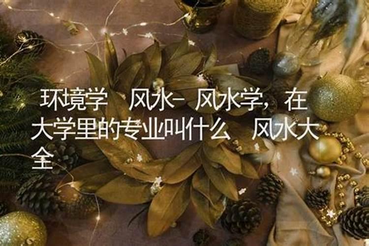 大学有专门学算命那种专业的吗？