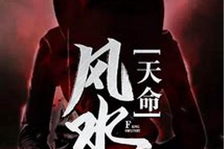 天命风水录一共是多少集啊