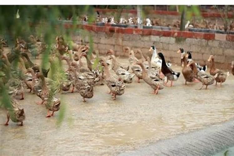 风水师知识？