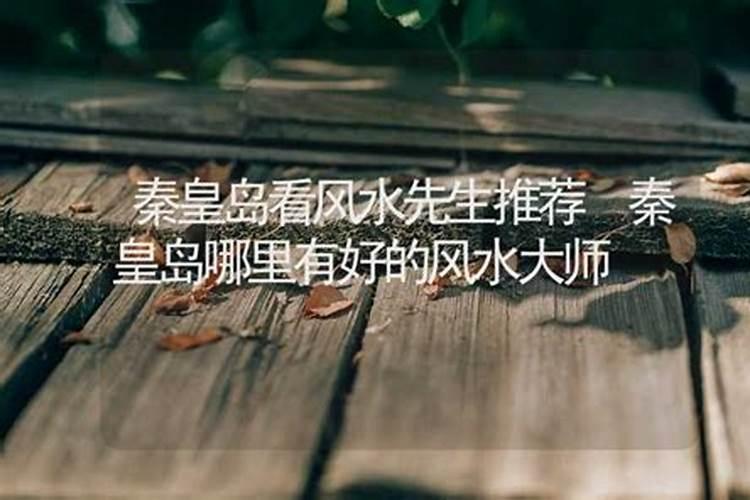 汪藏海的资料,详细的