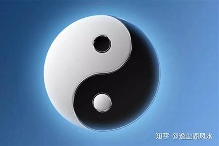 店里养什么鱼聚财最旺风水