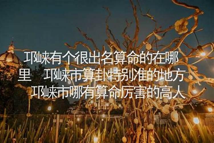 棕竹价格多少钱一棵？棕竹养家里不吉利吗？