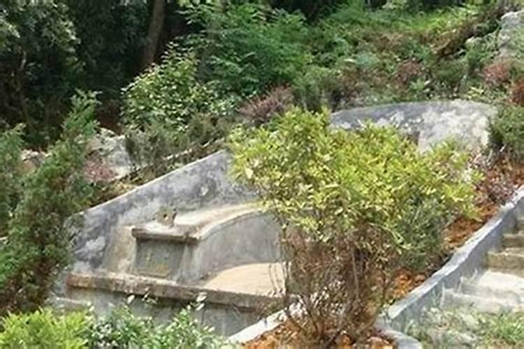 墓地风水真的可以布局吗了子孙后代跟着享福