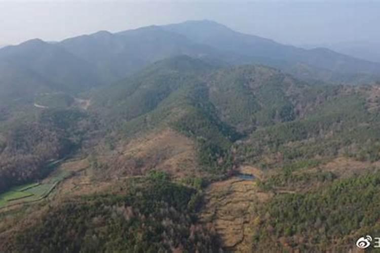 同里水乡有哪些景点(同里主要景点介绍)