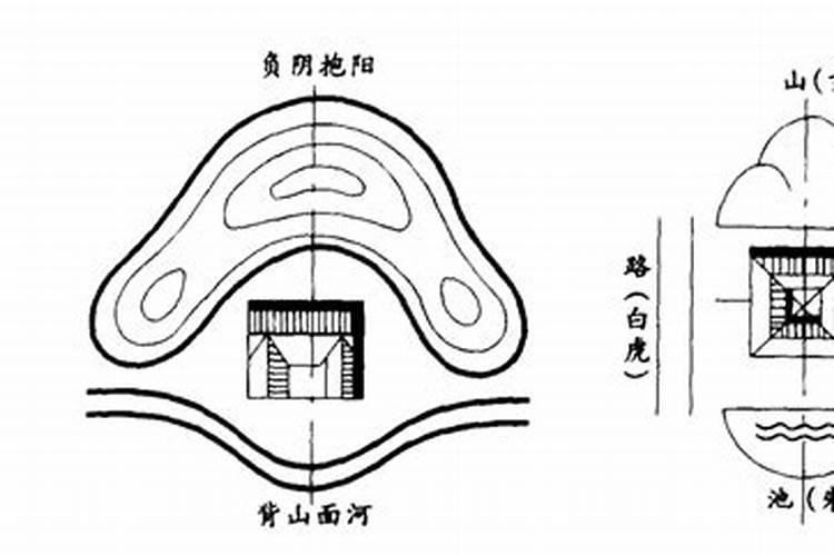 哪些植物不能种院子风水
