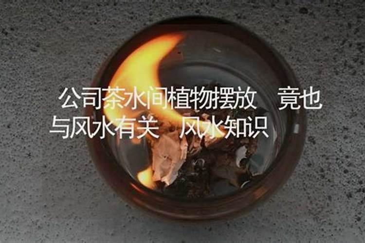 茶桌、茶宠的风水学,你知多少？