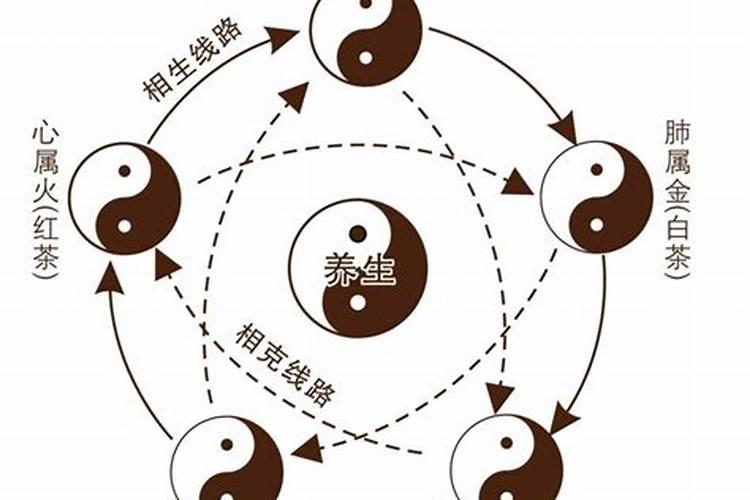 茶具如何摆放和使用