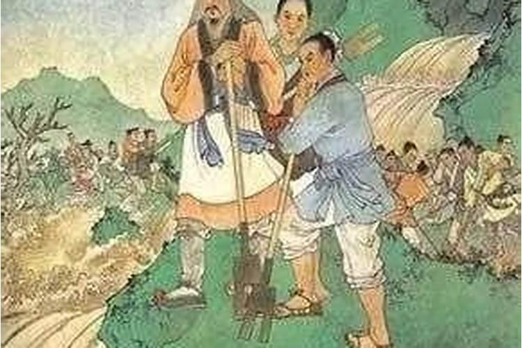 养什么猫辟邪最旺财运呢