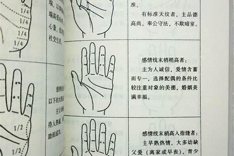 麦玲玲算的准么,李居明、麦玲玲、宋韶光哪个更准？