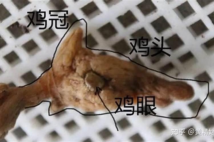 风水与命运有什么关系