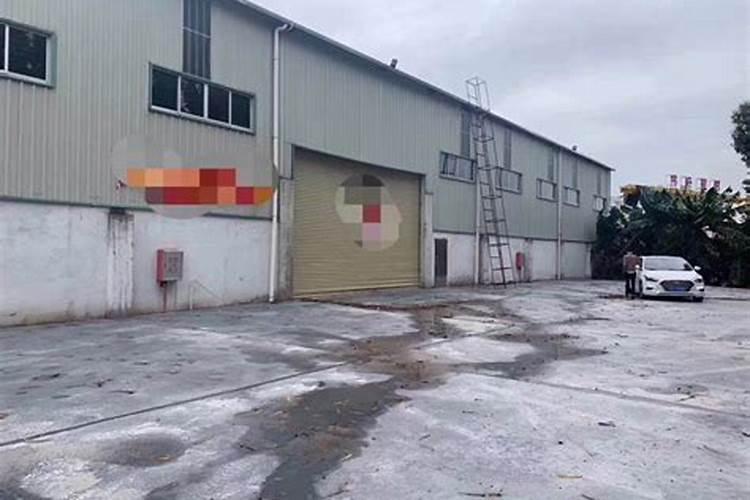 办公桌绿植摆放风水有什么讲究？