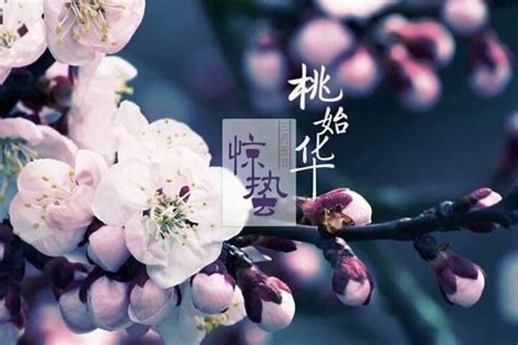 两梯六户的房子选哪户