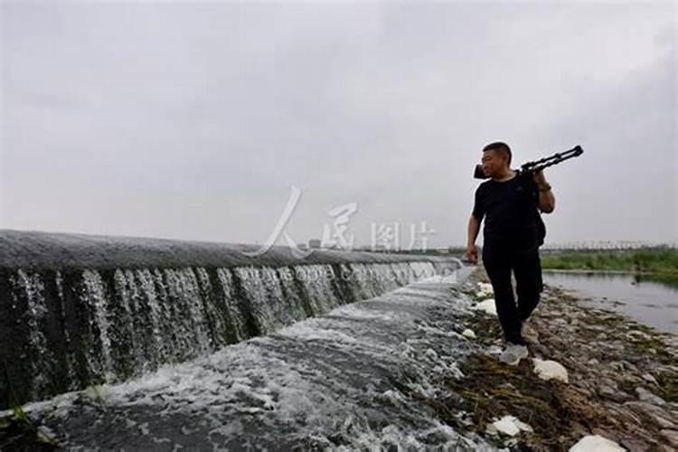 风水故事之挂羊头卖狗肉的由来