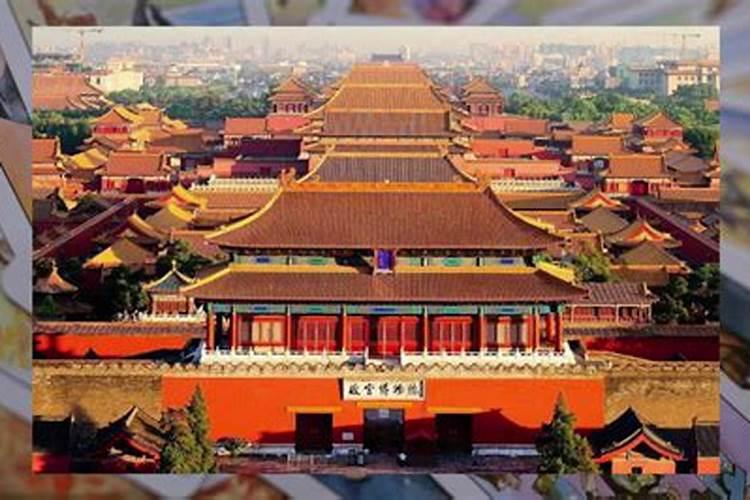 房间放什么花辟邪