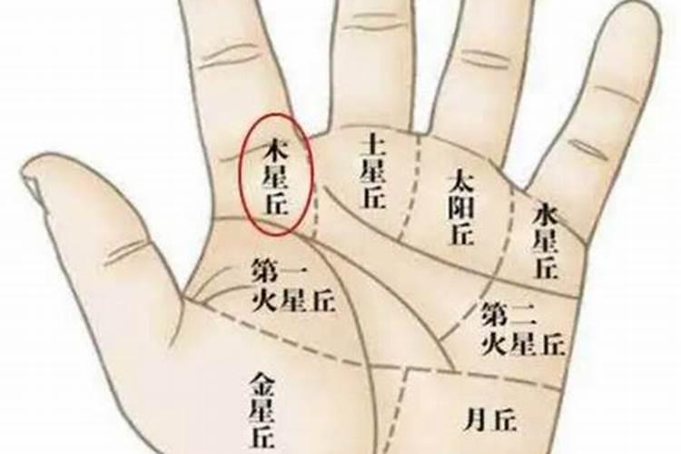 赵匡胤为什么将皇位传给弟弟？四个儿子其后又有什么样的命运