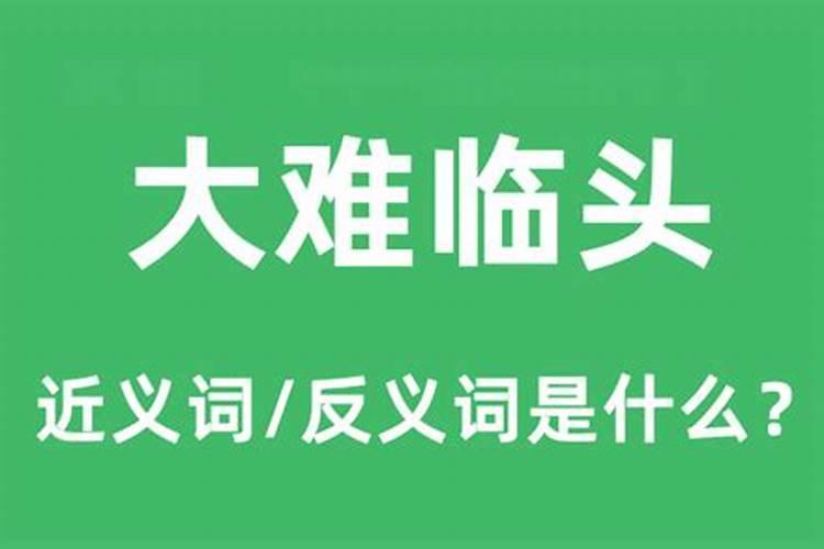 人一般在大难前都有预兆,人将有灾祸前有啥预兆