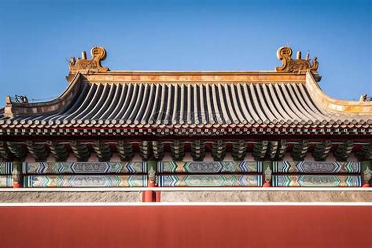 家里黄蜂窝预示什么风水