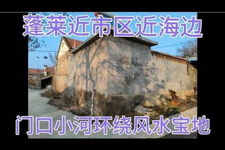 蓬莱松风水摆放三不要