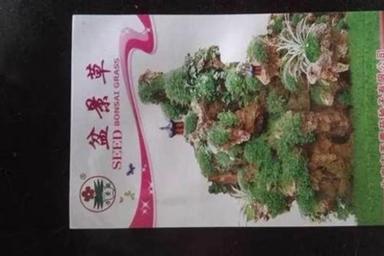 在厦门的风水界比较厉害的风水师傅都有谁？