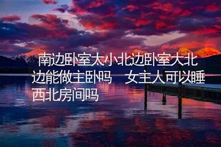 室内什么植物风水好室内适合的植物