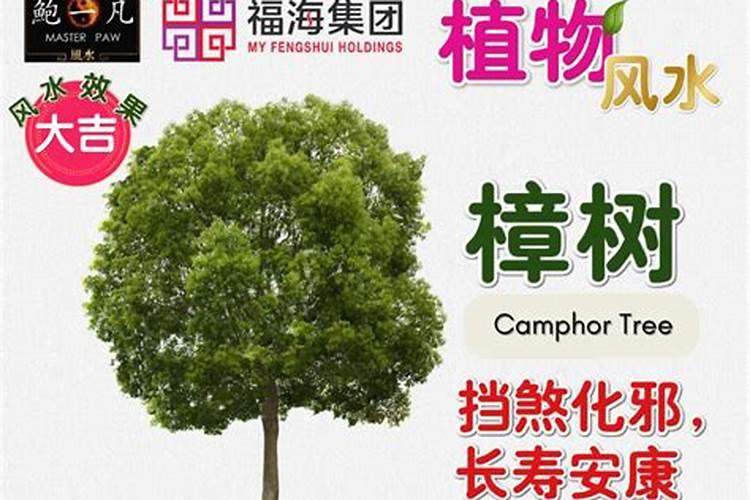 如何看房子风水好坏？