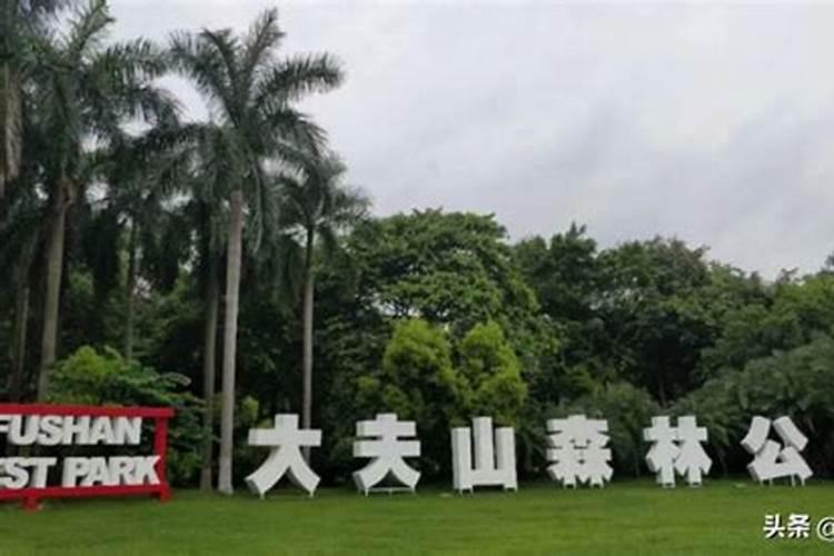 一个26层的楼房我买了十九层的中间户好不好它是一梯两户的？