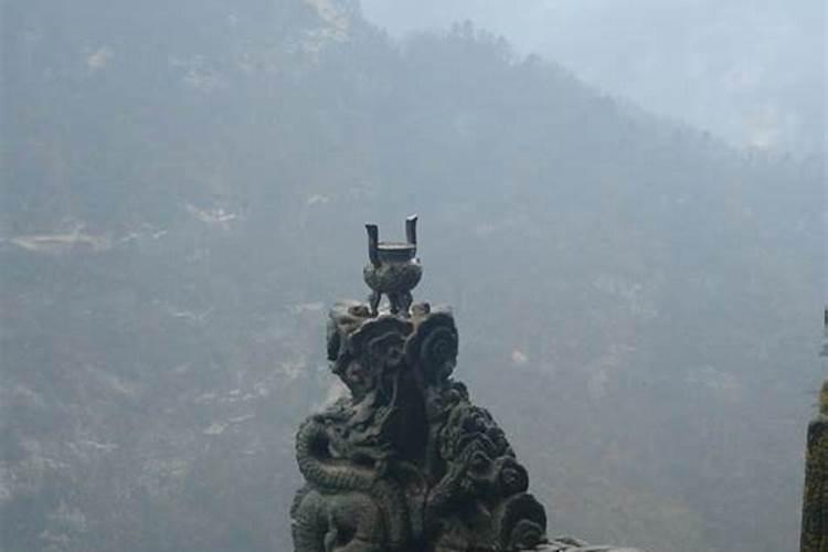 龙头好还是龙尾好
