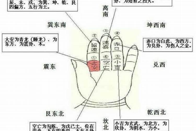 什么鱼风水最旺孔雀鱼